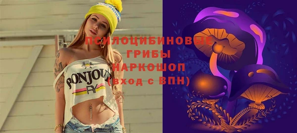спиды Аркадак