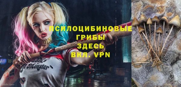 дмт Армянск