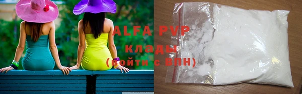 стафф Арсеньев