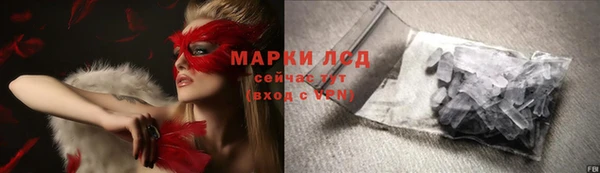 спиды Аркадак