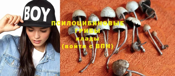 спиды Аркадак