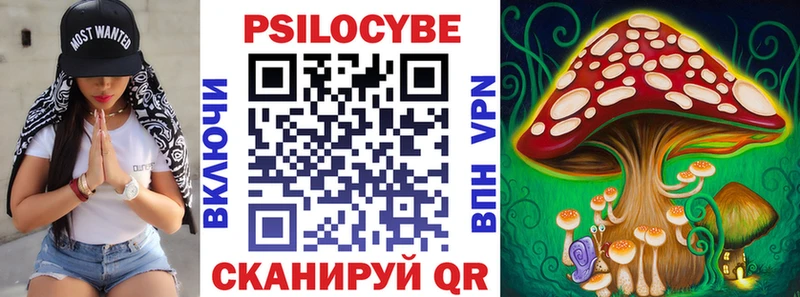 omg   цены наркотик  Терек  Галлюциногенные грибы Cubensis 